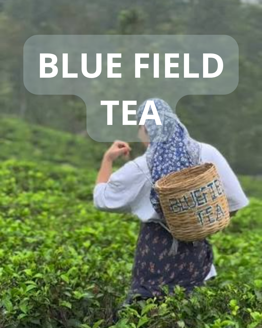 Blue Field, Sri Lanka