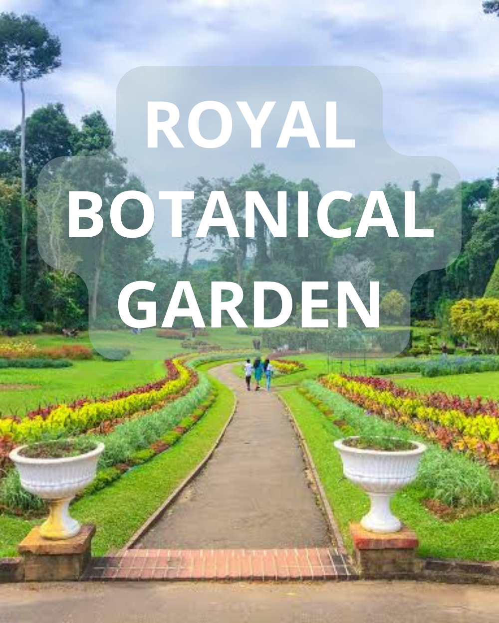 Royal Botanical Garden, Peradeniya